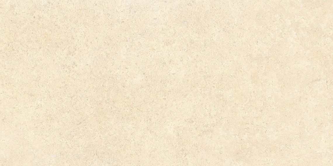 SandStone Песочный Матовый R10A Ректификат 9мм 60х120