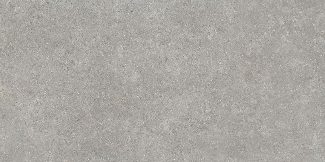SandStone Серый Матовый R10A Ректификат 9мм 60х120