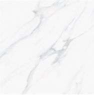 Satuario Platina Polished 60x60