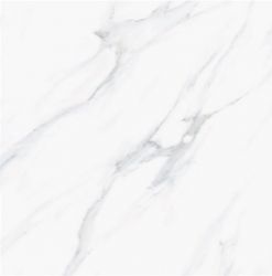 Satuario Platina Polished 60x60