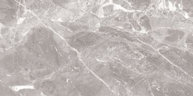 Savage Grey полированный 60x120