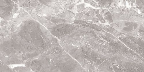 Savage Grey полированный 60x120