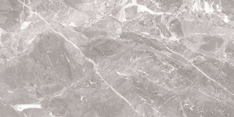 Savage Grey полированный 60x120