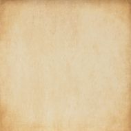 Scarlett Natural Beige 29.5x29.5