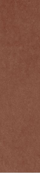 Scs Spectra Chilli Glossy 5,8х25