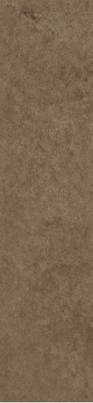 Scs Spectra Cumin 5,8х25