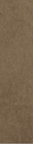 Scs Spectra Cumin Glossy 5,8х25