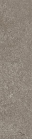 Scs Spectra Moshroom 5,8х25