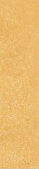 Scs Spectra Mustard 5,8х25