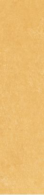 Scs Spectra Mustard Glossy 5,8х25