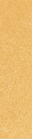 Scs Spectra Mustard Glossy 5,8х25