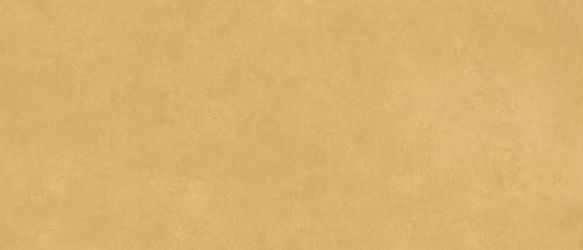 Scs Spectra Mustard Gv 120х278