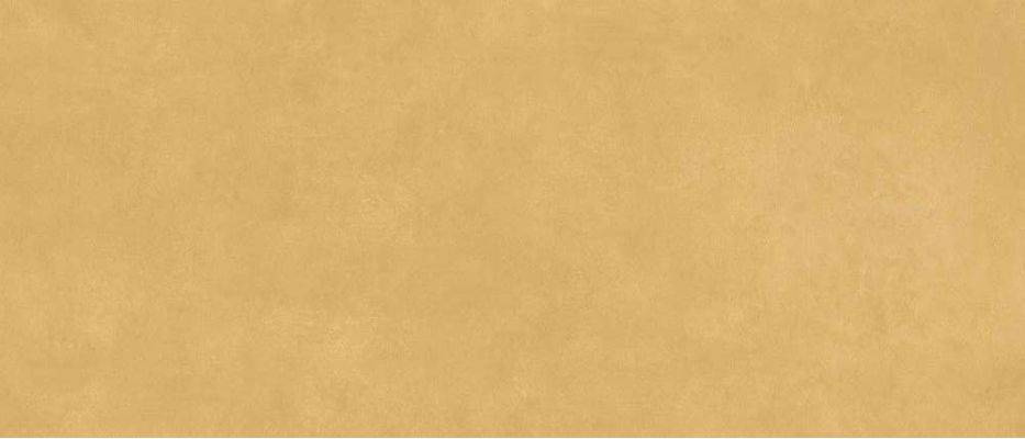 Scs Spectra Mustard Gv 120х278