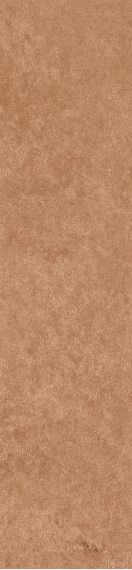 Scs Spectra Tango 5,8х25