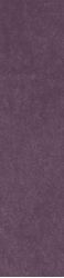 Scs Spectra Wine Glossy 5,8х25