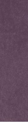 Scs Spectra Wine Glossy 5,8х25