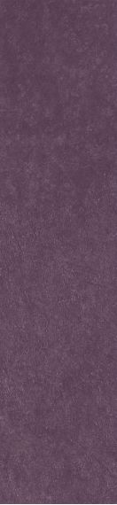 Scs Spectra Wine Glossy 5,8х25