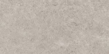 Seashell Natural R10 Carving 60x120