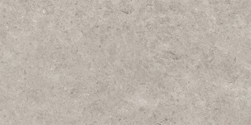 Seashell Natural R10 Carving 60x120