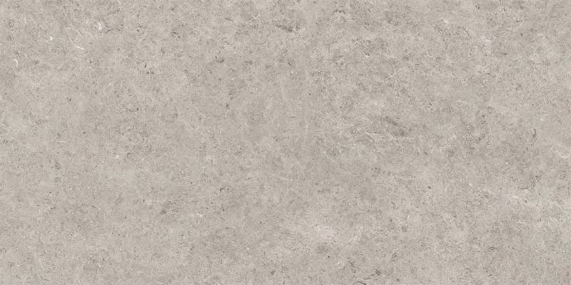 Seashell Natural R10 Carving 60x120