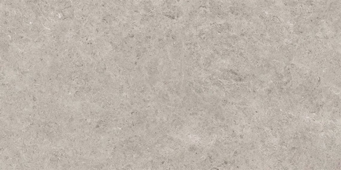 Seashell Natural R10 Carving 60x120