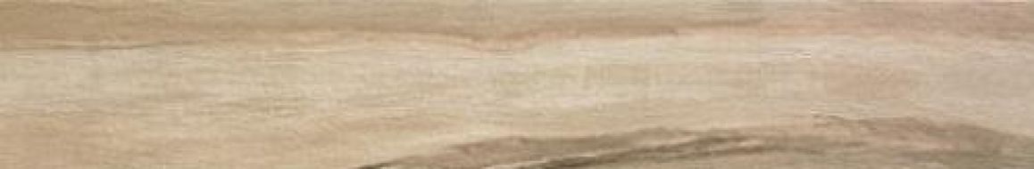 Seasons Spring 15x60.8