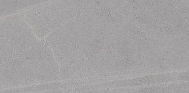 Seine-R Gris 29,3x59,3