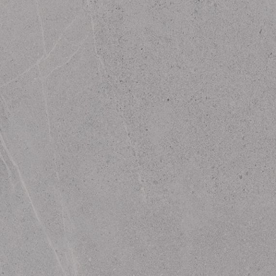 Seine-R Gris Antideslizante 59,3x59,3