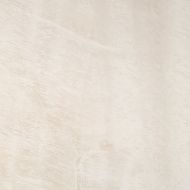 Shellstone 3 59.8x59.8