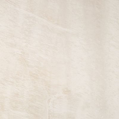 Shellstone 3 59.8x59.8