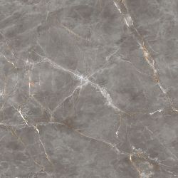 Shinestone grey POL 119.8x119.8