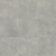 Silicio 100x100