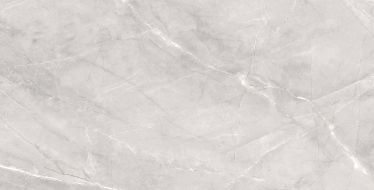 Silk Armani Silver Matt 60x120