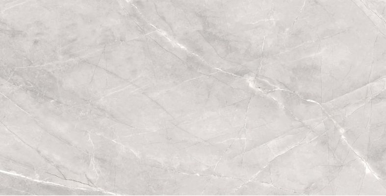 Silk Armani Silver Matt 60x120