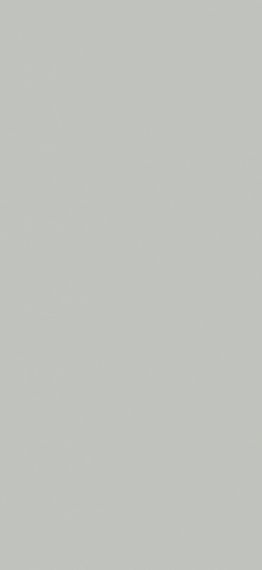 Silver Natural 120x260