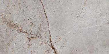 Silver Root Полированный 60х120