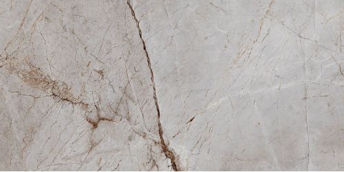 Silver Root Полированный 60х120