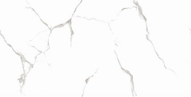 Silver White PGVT 60x120