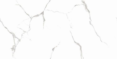 Silver White PGVT 60x120