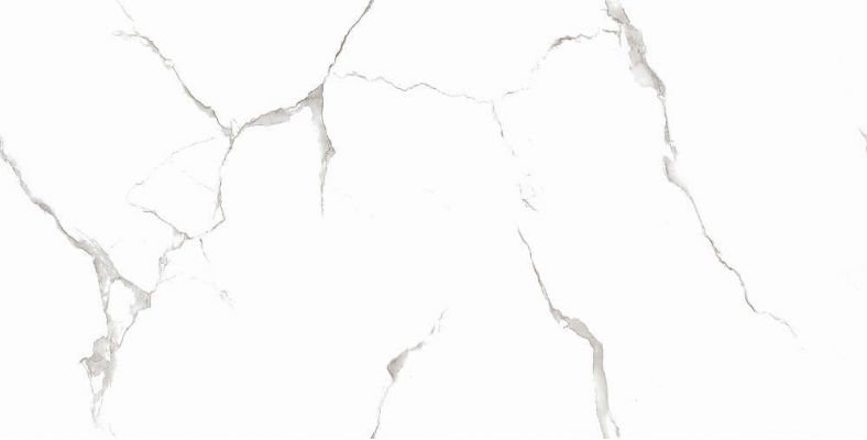 Silver White PGVT 60x120