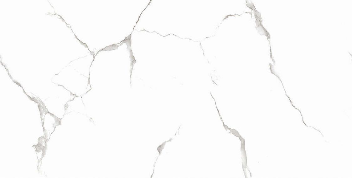 Silver White PGVT 60x120