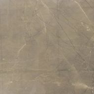 Sitron Grey Glossy 60х60