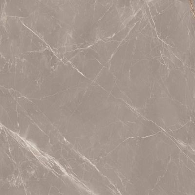 Slabs Prestige Dove High Glossy 120х120
