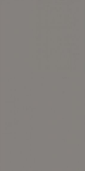 Slate Grey Matt Full Body 60х120