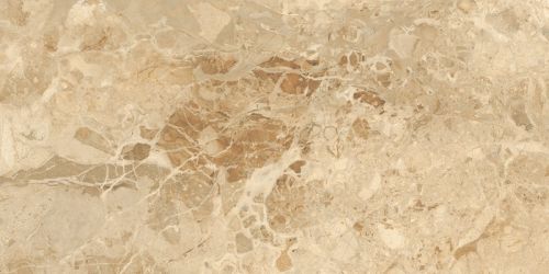 Slay Stone полированный 60x120