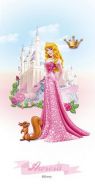 Sleeping Beauty 30*60