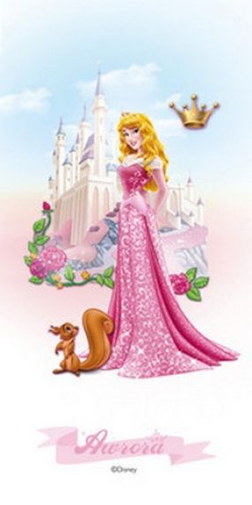 Sleeping Beauty 30*60