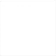 Snow White Polished 60x60