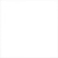 Snow White Polished 60x60