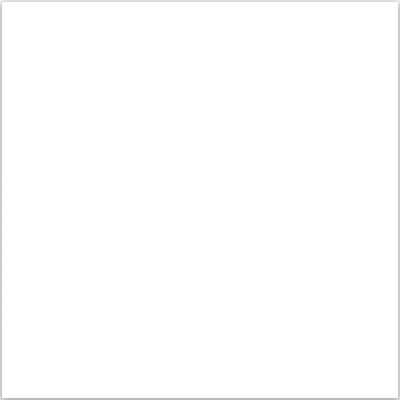Snow White Polished 60x60